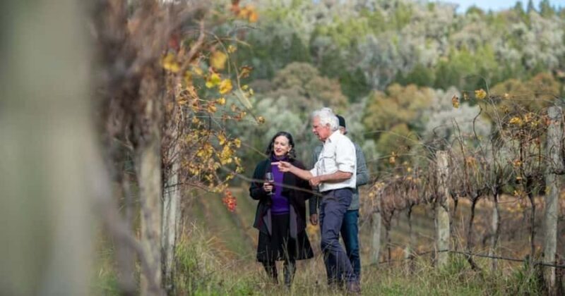 Combo: Hunter Valley Tour + Sydney Hop-on-Hop-off Bus Ticket - An Honest Look at the Experience