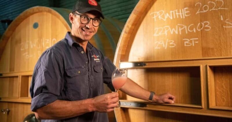 Combo: Hunter Valley Tour + Sydney Hop-on-Hop-off Bus Ticket - Final Thoughts