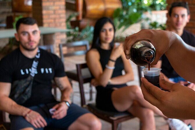 Combo Jorullo Bridge ATV, Zip Line, Mules - Who Will Love This Tour?