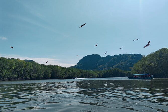 Combo Langkawi Cable Car & Sky Bridge With Mangrove Private Boat - A Deep Dive into the Langkawi Combo Tour