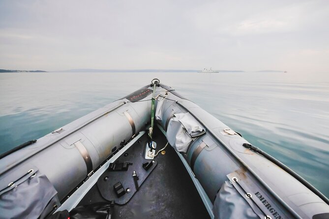 Combo Marine Wildlife Cruise & Winelands Full Day Tour in CT - Marine Wildlife Cruise