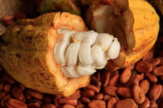 Combo Mayan Ruins: Chichen Itza, Tulum, Coba, Cenotes - The Sum Up