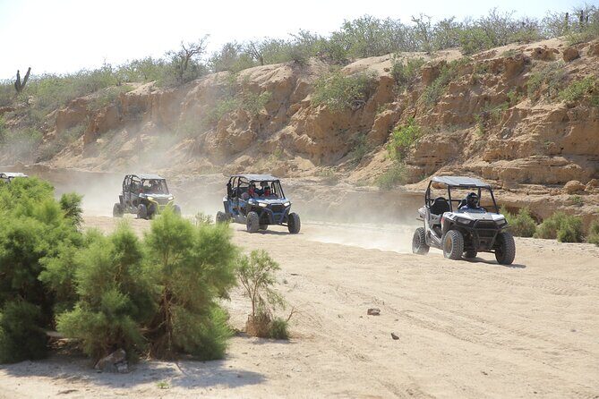 Combo Off Road 4x4 UTV Camel Ride Lunch and Tequila Tasting - Good To Know