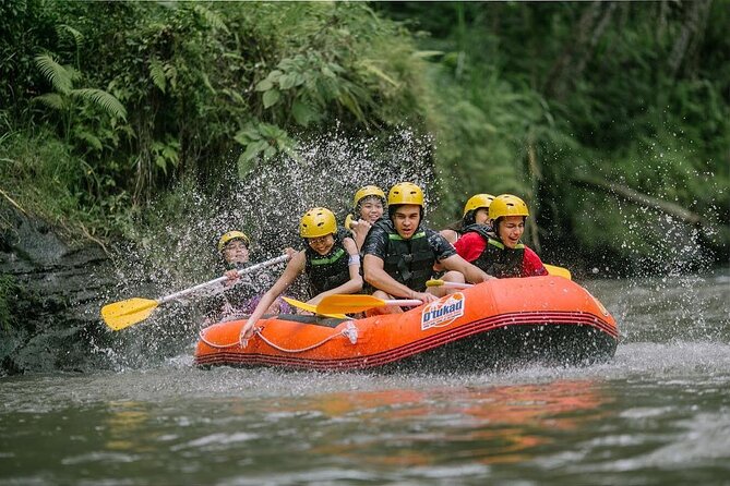 COMBO PACKAGE: Ayung River Rafting and Ubud Tour - Inclusions