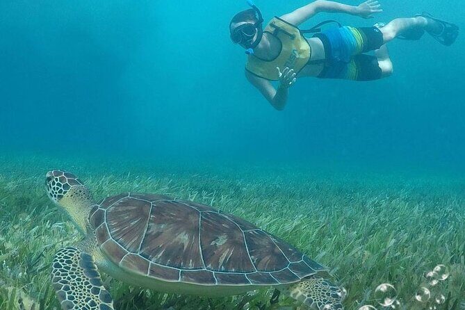 Combo Parasailing and Amazing snorkeling in Cancun - Why This Tour Offers Good Value