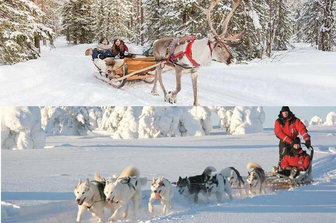 COMBO Private tour HUSKY and REINDEER Park by VIP car with guide - Good To Know  