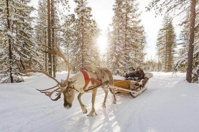 COMBO Private tour HUSKY and REINDEER Park by VIP car with guide - Value for Money and Booking Insights  
