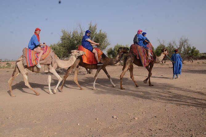Combo Quad & Camel in the Jebilat Desert - Pricing: Starting From €40.00 With Free Cancellation