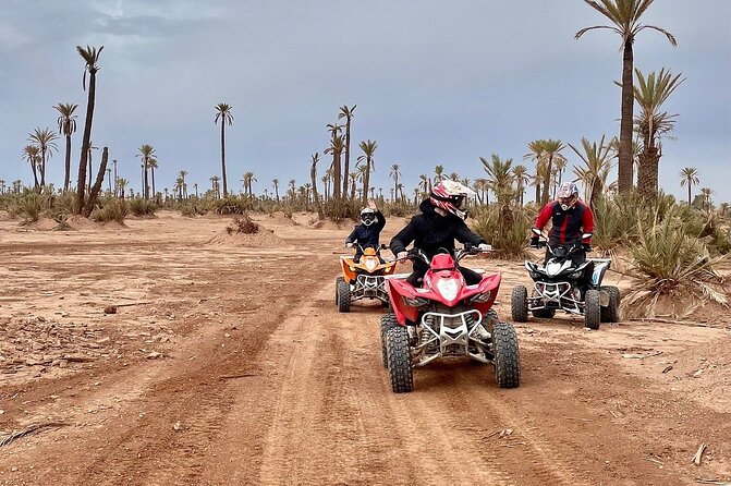 Combo Quad & Camel in the Jebilat Desert - Reservation: Book Now, Pay Later