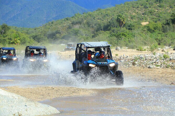 Combo Single Offroad 4x4 UTV, Camel Ride, Lunch & Tequila Tasting - A Deep Dive into the Experience