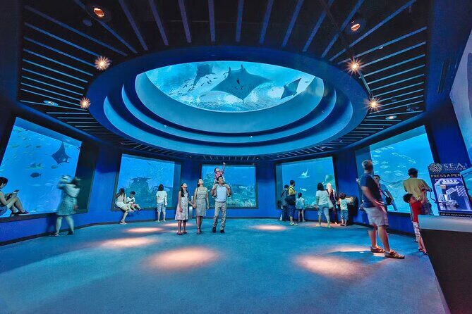 Combo Tickets for Universal Studios and Gardens by the Bay - Practical Details and Tips