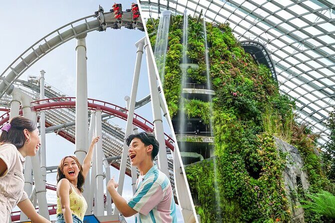 Combo Tickets for Universal Studios and Gardens by the Bay - Combo Tickets for Universal Studios and Gardens by the Bay: An In-Depth Review