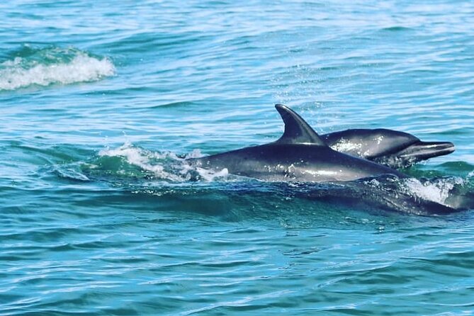 Combo Tour Marino Ballena National Park - Inclusions and Amenities