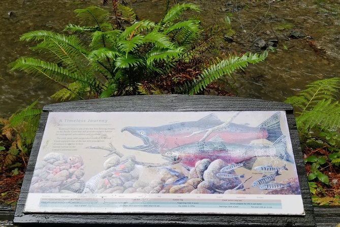Combo Tour: Small Group Muir Wood, Sausalito and Sonoma Wine Country Tour - Reasons to Choose This Tour