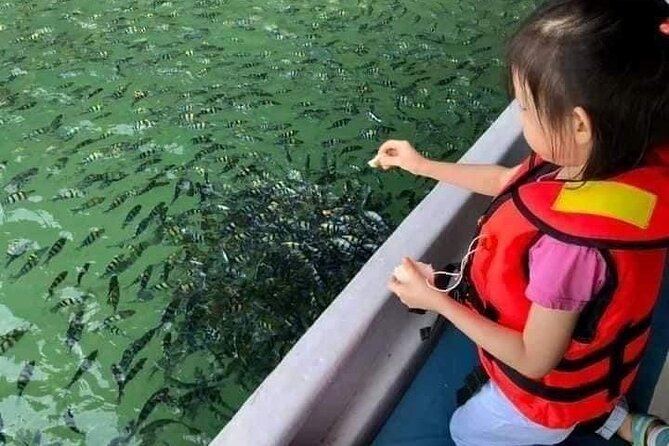 Combo:Langkawi Snorkeling & Tg Rhu Mangrove Private Boat Tour - Safety Measures