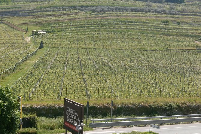 Come2Verona - Meeting Point