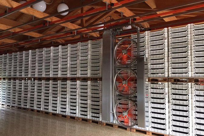 Come2Verona - Duration