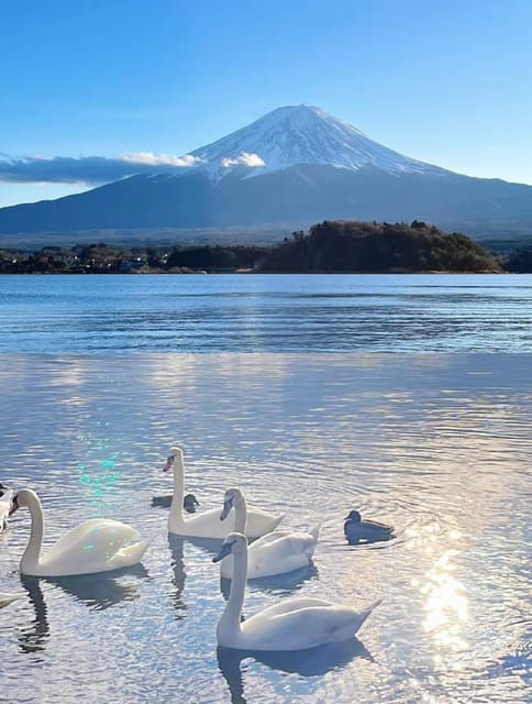 Comfortable Tour in Mount Fuji - Good To Know