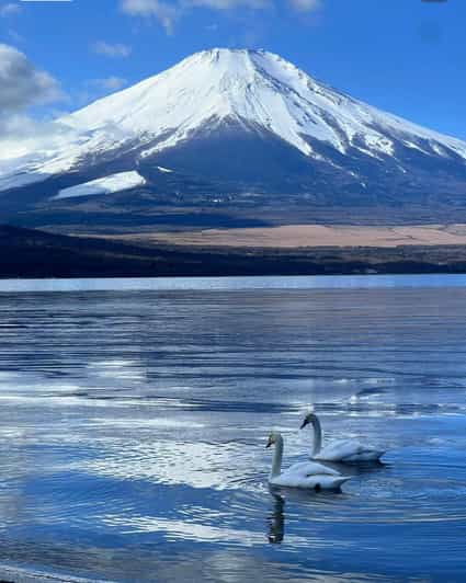 Comfortable Tour in Mount Fuji - Scenic Highlights