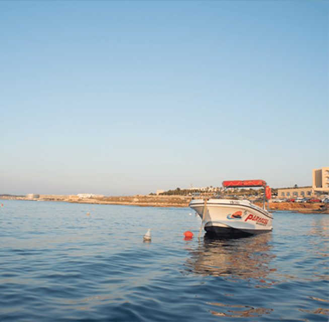 Comino Blue Lagoon Express - Who Will Love This Tour?