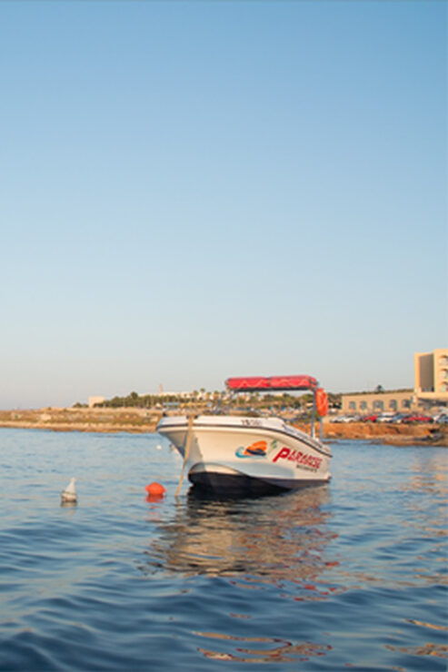 Comino Blue Lagoon Express - Experience Highlights