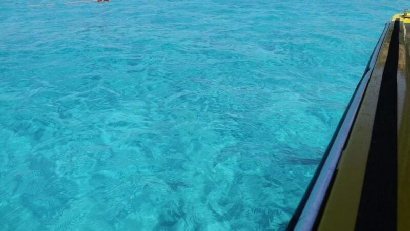 Comino:Blue Lagoon,Crystal Lagoon,Caves, Private Boat Malta - The Experience from a Traveler’s Perspective