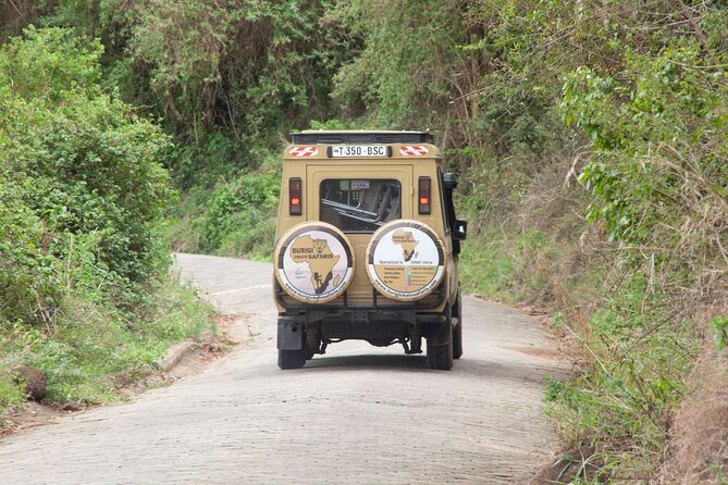 Common 5 Days Tanzania Serengeti Big 5 Private Safari | BURIGI CHATO SAFARIS - Booking and Departure Information