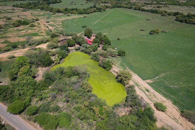 Community and Biodiversity Tour of the Tatacoa Desert From Neiva - Tour Details