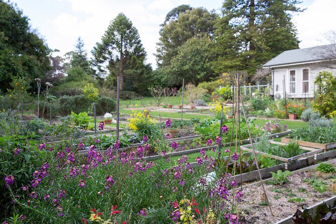 Como House: Guided Garden Tour - Good To Know