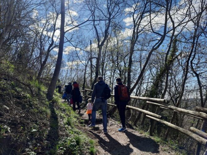 Como: Private Opening of a Medieval Castle Over Lake Como - Inclusions