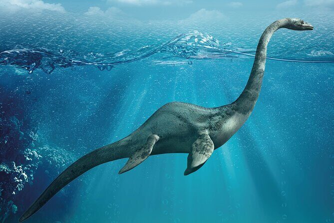 Como Walking Tour with Audio and Written Guide by a Local - Practicalities and Tips