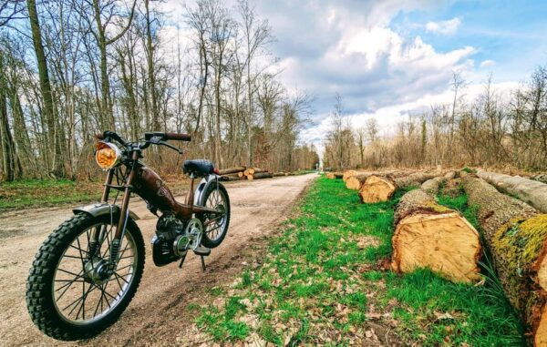 Compiègne: Half a Day on a Moped! - Tips for Moped Riding