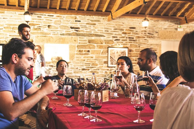 Complete Douro Valley Wine Tour With Lunch, Wine Tastings and River Cruise - Tour Overview and Highlights