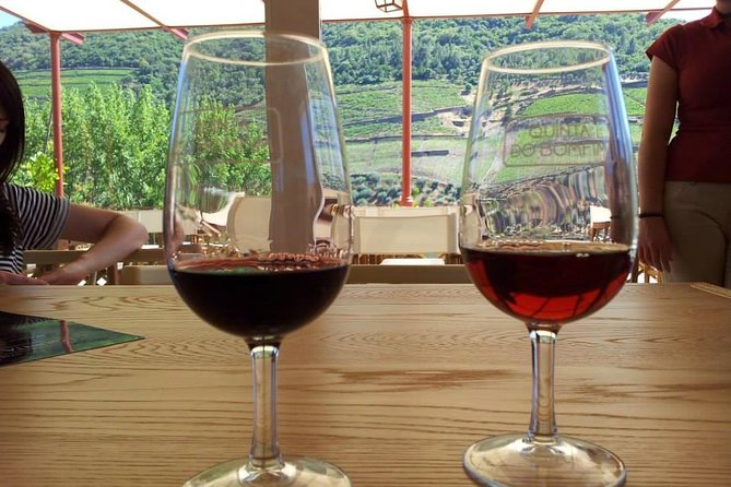 Complete Douro Valley Wine Tour With Lunch, Wine Tastings and River Cruise - Overall Satisfaction and Recommendations