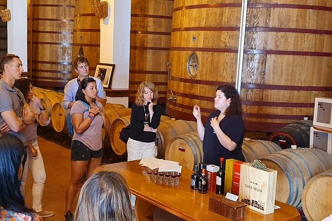 Complete Douro Valley Wine Tour With Lunch, Wine Tastings and River Cruise - Common Questions