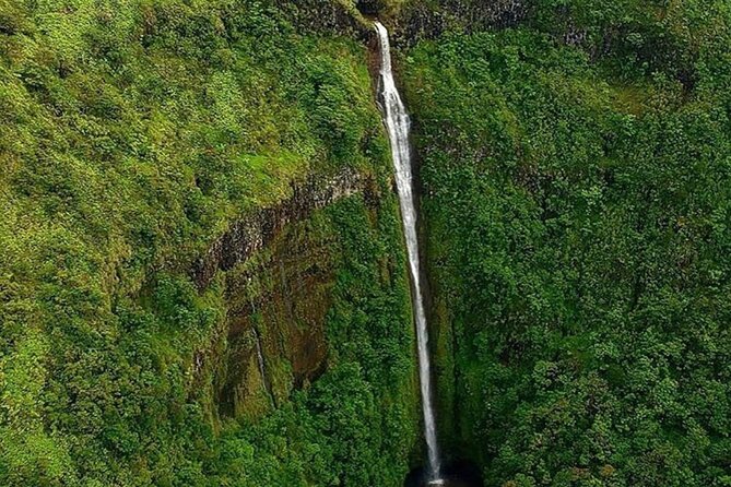 Complete Island 60-Minute Helicopter Tour - Customer Experiences and Recommendations