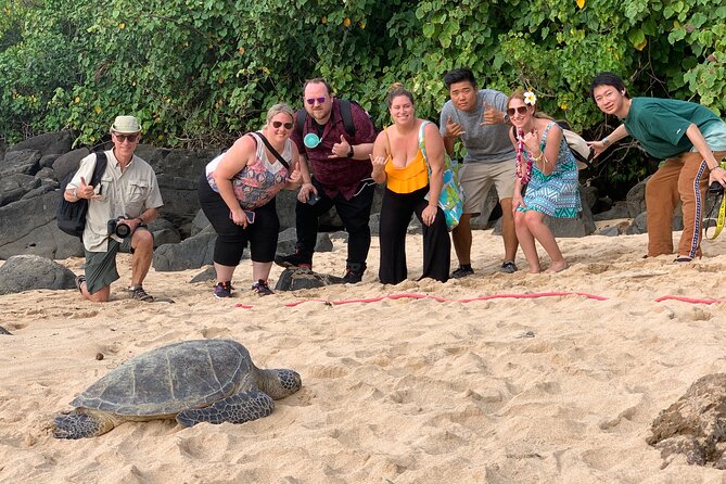 Complete Island Tour and Waterfall Photo Experience - Positive Reviews and Tour Guide Excellence