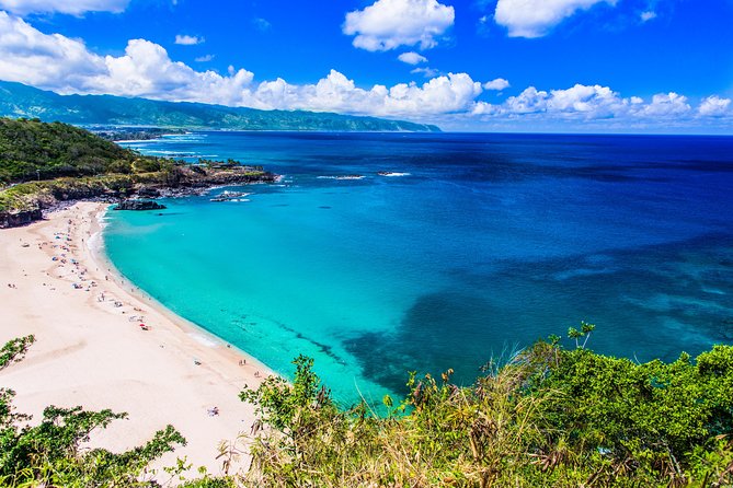 Complete Island Tour and Waterfall Photo Experience - Explore Waimea Falls and Botanical Garden