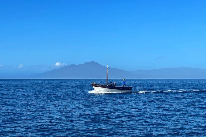 Complete Private Guided Two Hour Tour of the Coast of Capri - Common Questions