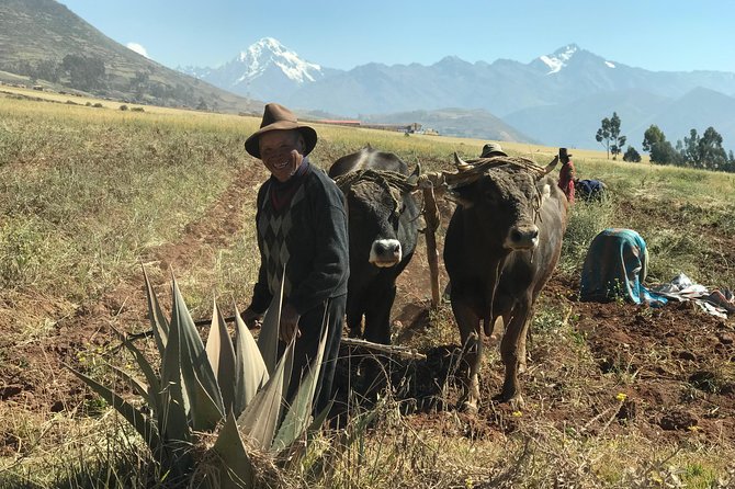 Complete Sacred Valley Tour + Salt Mines - Tour Highlights