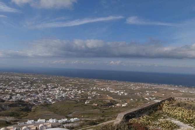 Complete Santorini Wine Experience - Wine Tasting at Renowned Vineyards