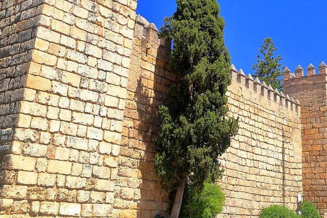 Complete Seville Tour the Jewish Quarter and Views of Triana - Historical Significance of Seville