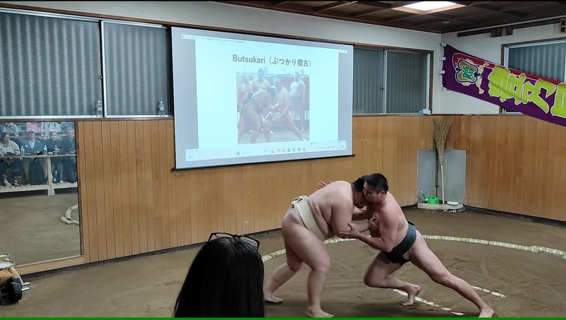Complete sumo experience in Tokyo - Taking your turn against a wrestler