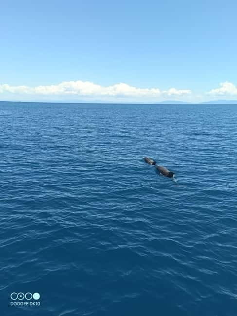 Complete tour of Elba Island - Transportation, Timing, and Group Size