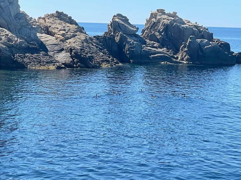 Complete tour of Elba Island - Final Thoughts