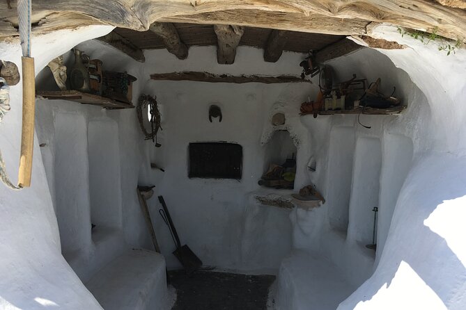 Complete Tour of Mykonos & Wine (Or Beer) Tasting - Immerse Yourself in Local Culture