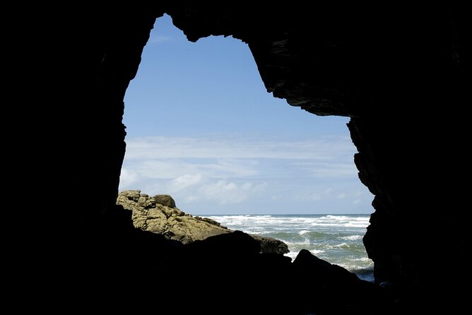 Complete Tour to Ilha Do Mel - The Sum Up