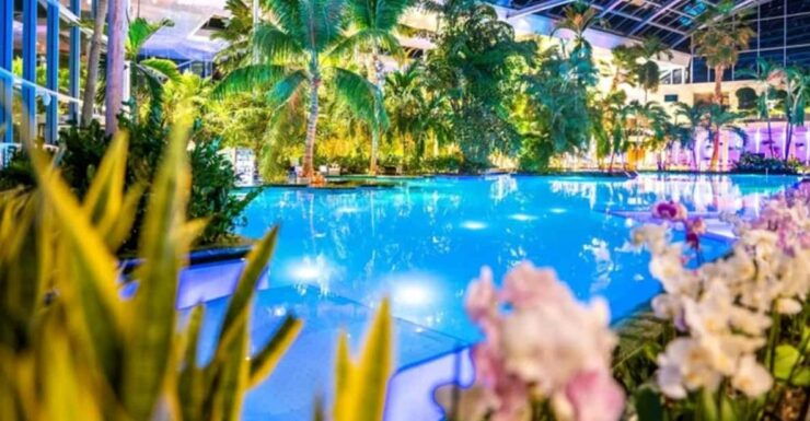 Complete Transportation to Therme Spa( Go and Return) - Pricing and Payment Options