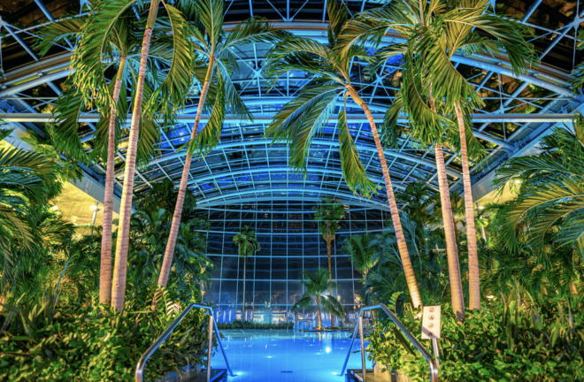 Complete Transportation to Therme Spa( Go and Return) - The Sum Up