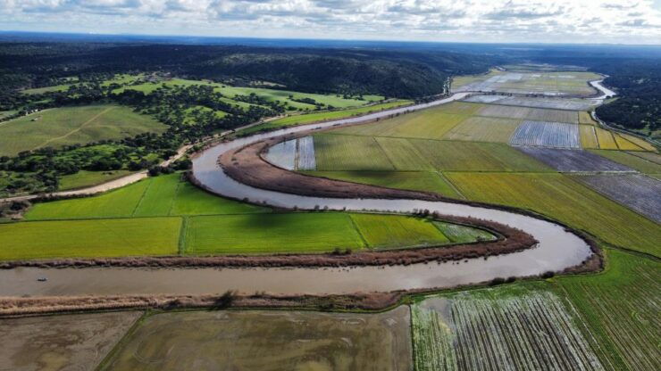 Comporta to Alcacer Do Sal Boat Trip - Booking Details